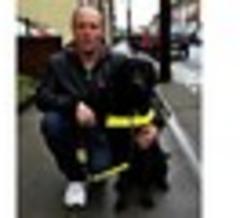Guide dog attacked by 'violent' Staffie